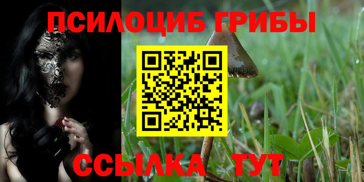 Псилоцибиновые грибы MAGIC MUSHROOMS Зеленокумск
